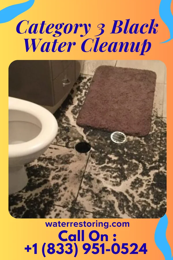 Category 3 Black Water Cleanup in Goldsboro, PA